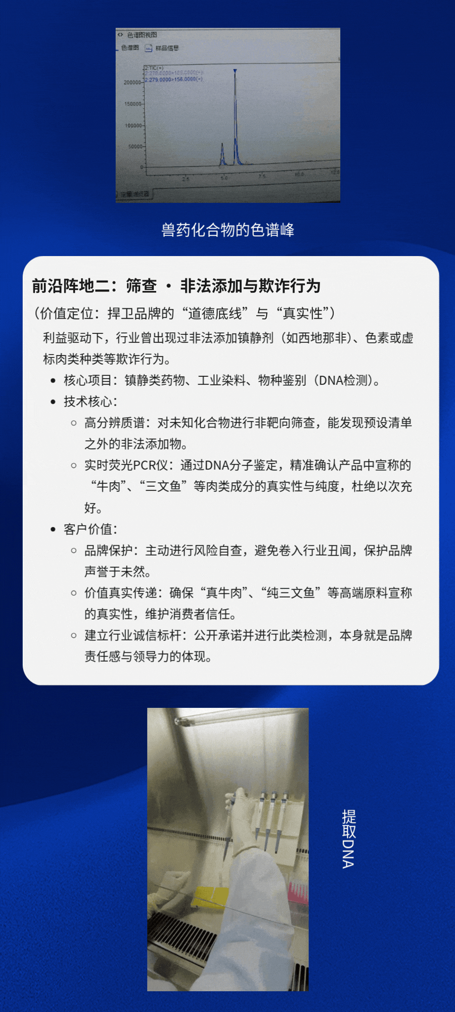 3.gif