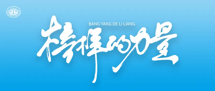 企业标杆 | 看职场菜鸟若何黑马逆袭？